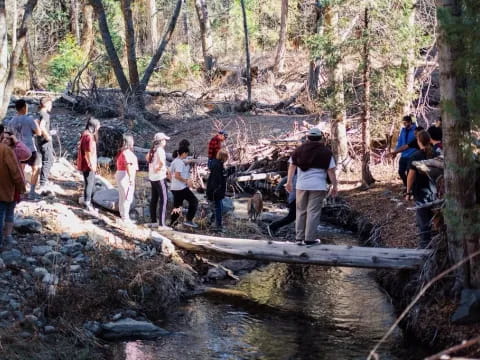 a group of people standing on a log over a stream