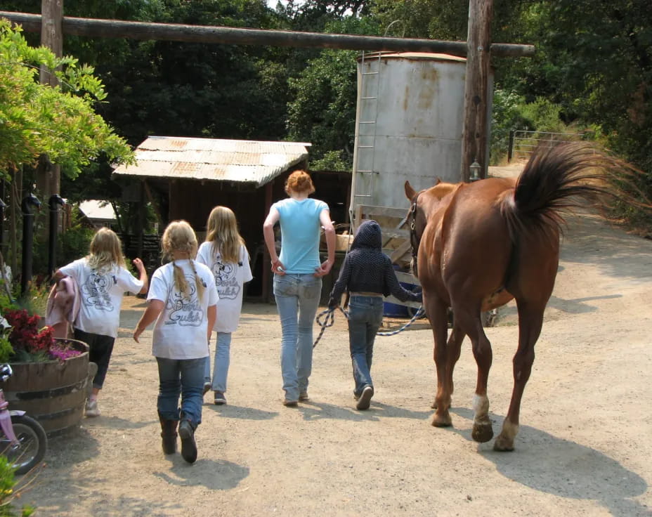 a group of people walking a horse