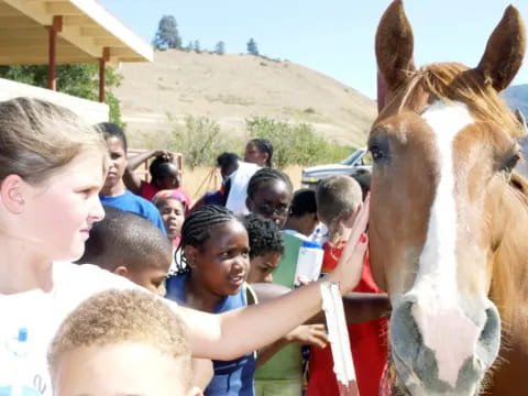 a group of people petting a horse