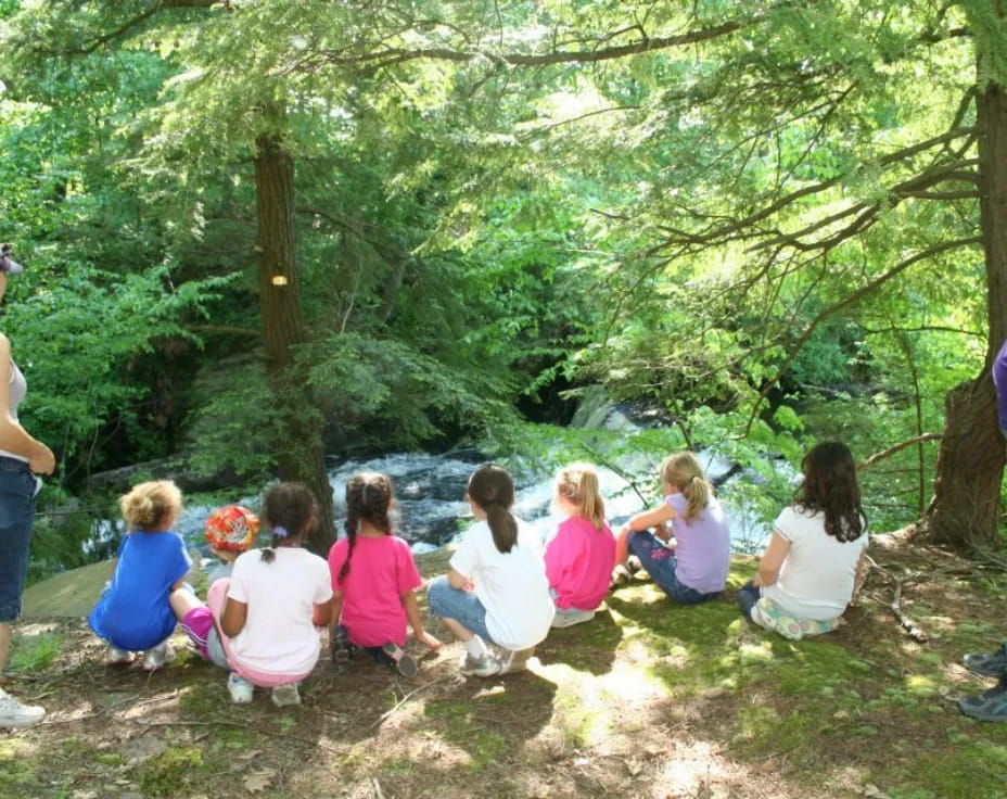 a group of people sitting in the woods