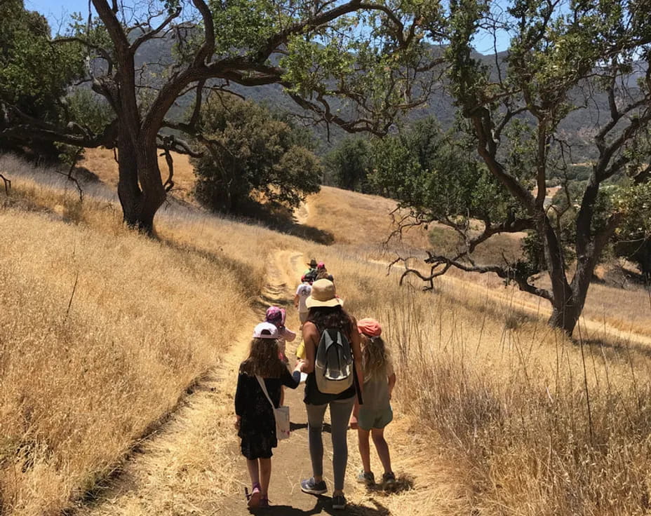 a group of people walking on a dirt road with trees on either side