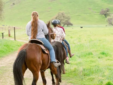 a man and a woman riding horses