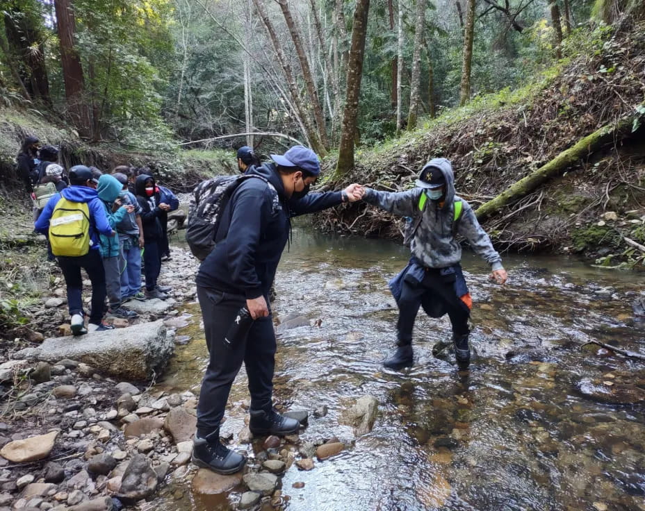 a group of people hiking in the woods