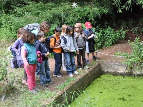 a group of people standing on a stone path