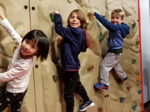 a group of children climbing a rock wall