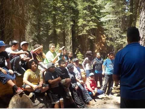 a group of people sitting on a log in the woods