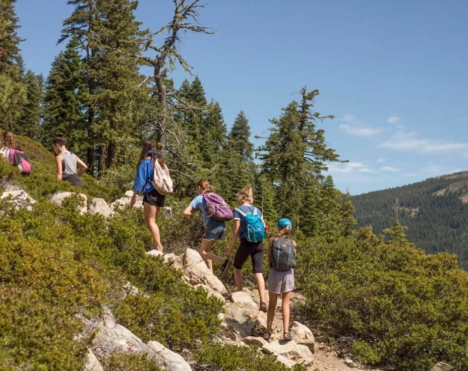 a group of people hiking