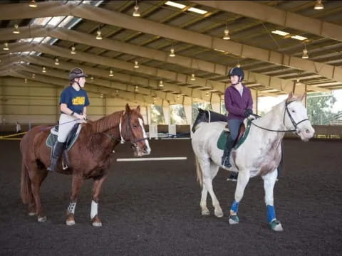 a couple of women riding horses