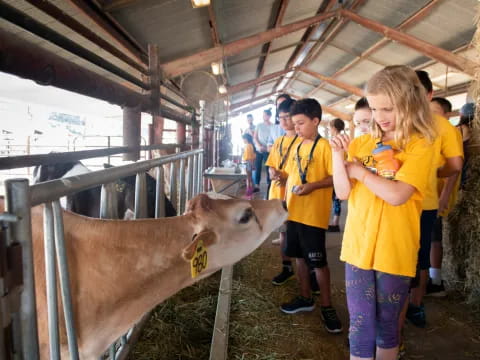 a group of children looking at a cow in a barn