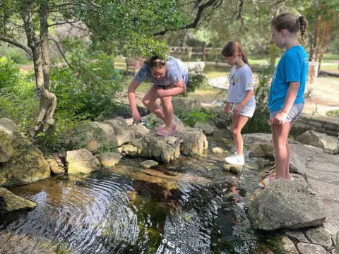 a group of people standing on rocks by a stream