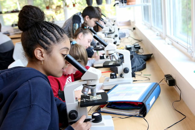 a group of people looking at a microscope