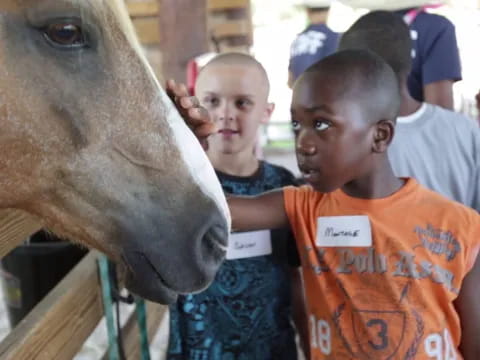 a group of children looking at a horse
