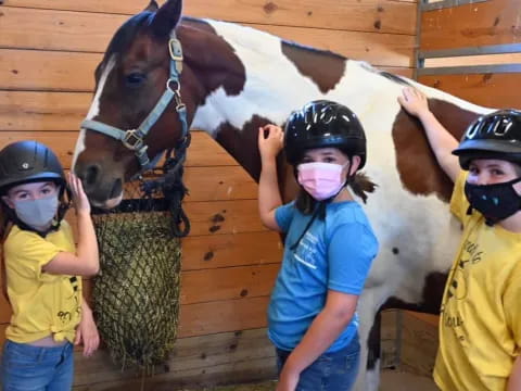 a group of kids stand near a horse