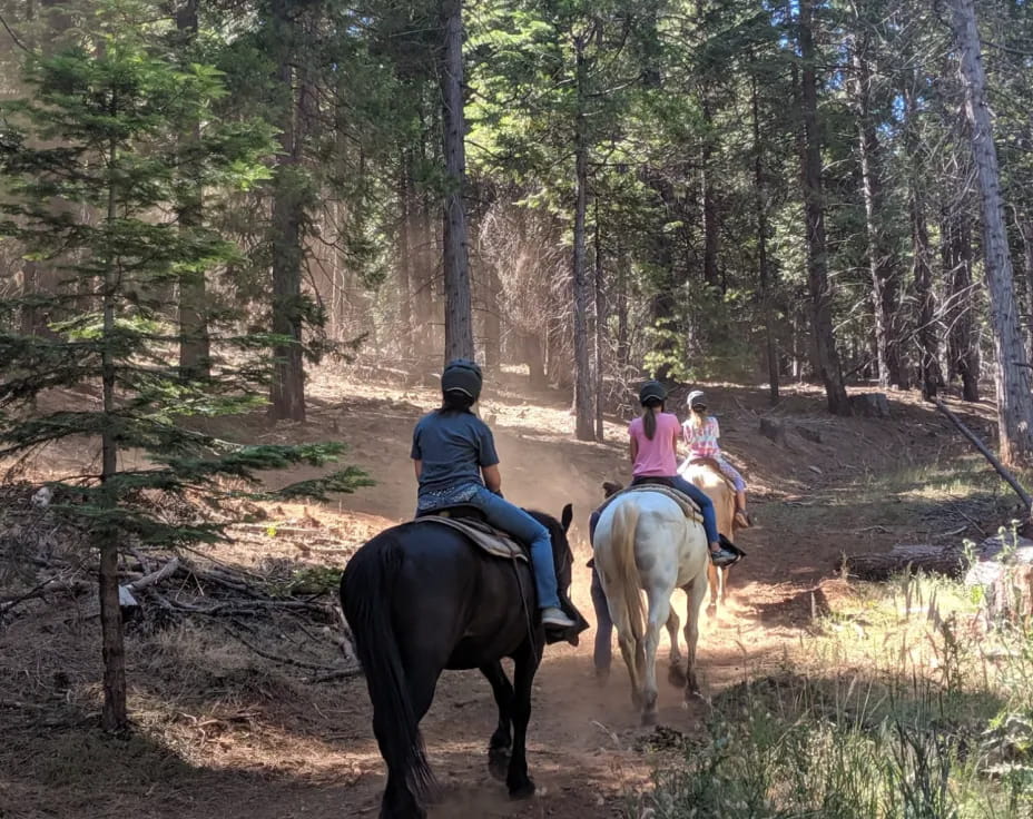 people riding horses on a trail