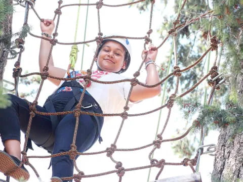 a person climbing a tree