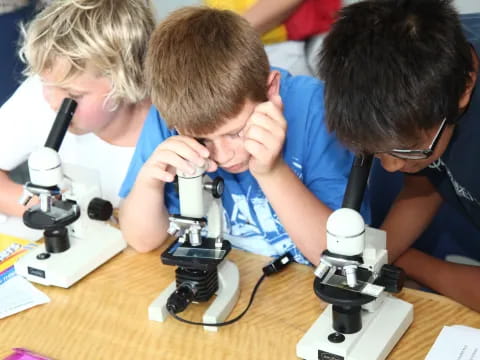 a few young men looking at a microscope