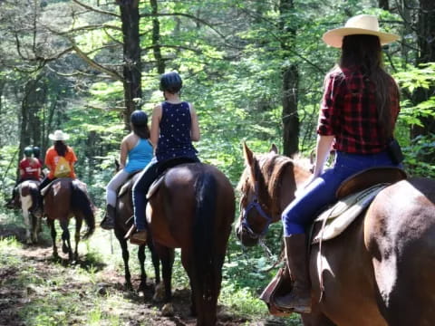 people riding horses in the woods