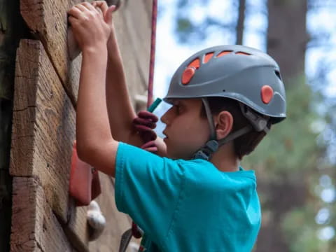 a young boy climbing a tree