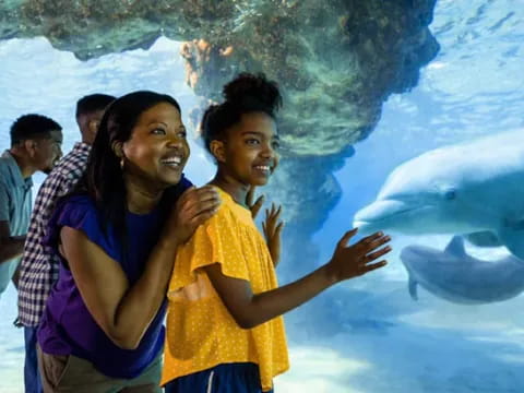 a man and woman hugging in front of a large fish tank