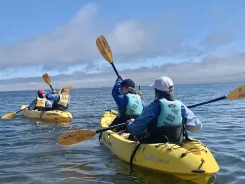 a group of people in kayaks with a fish in the water