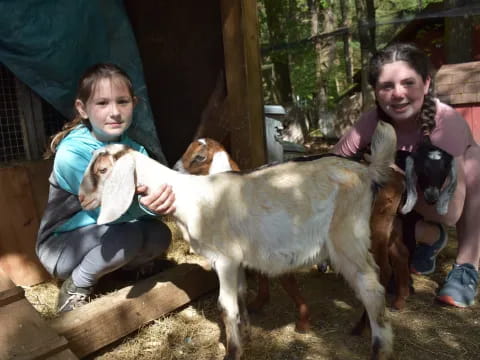 a person and a girl petting a goat