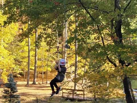 a person on a swing