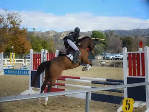a person riding a horse jumping over a fence