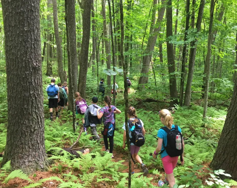 a group of people hiking in the woods