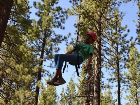 a man climbing a tree