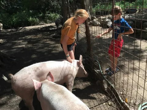 a couple of kids petting pigs
