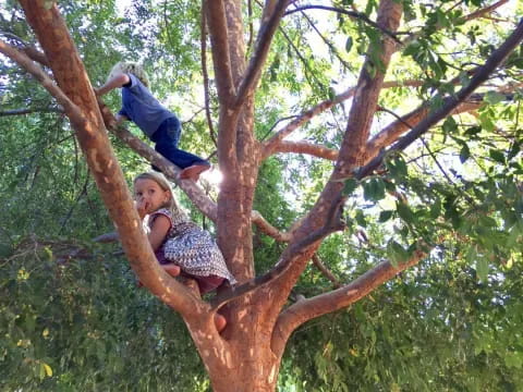 two children in a tree