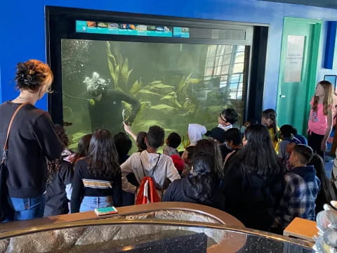 a group of people looking at a large aquarium