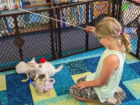 a girl and a cat in a cage