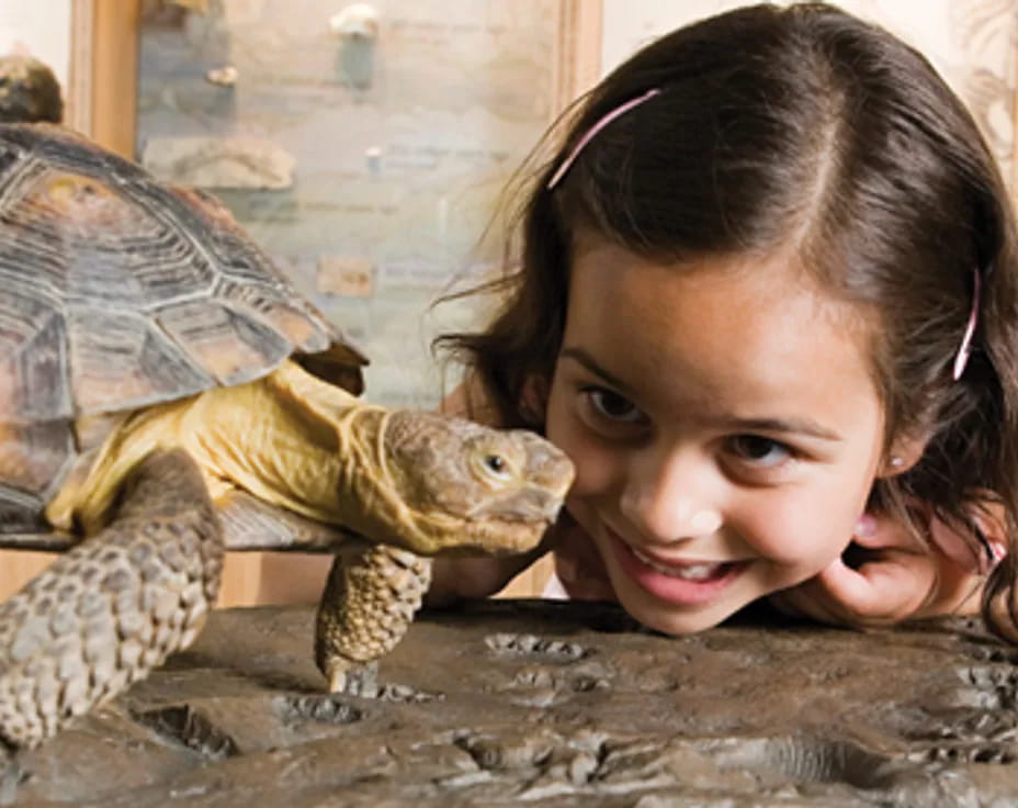 a girl smiling next to a lizard