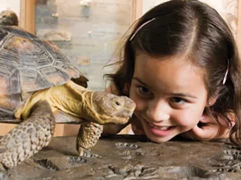 a girl smiling next to a lizard