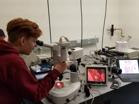a person looking through a microscope