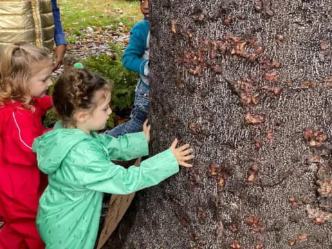 a group of children playing with a tree