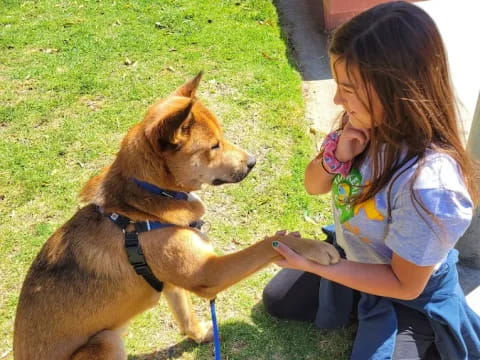 a girl petting a dog