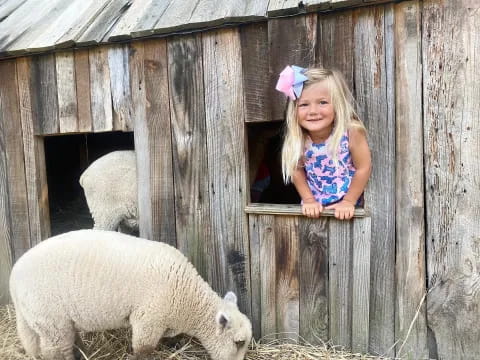 a little girl stands in a barn