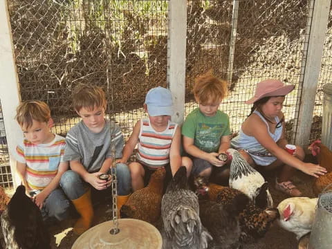 a group of children sitting outside with chickens