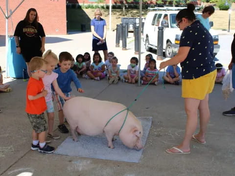 a group of people watching a pig