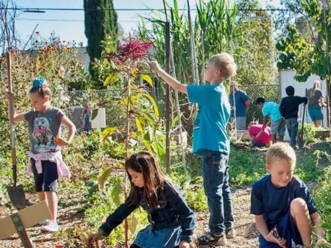 a group of children in a garden