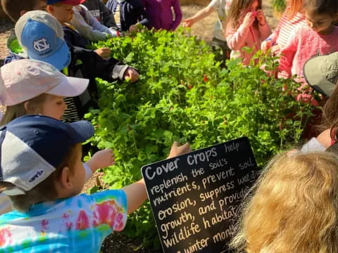 a group of children looking at a tree