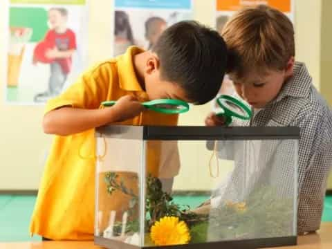 a couple of boys looking at a paper