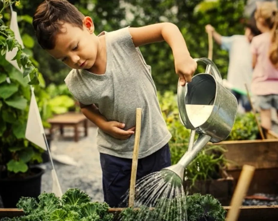 a young boy working in a garden