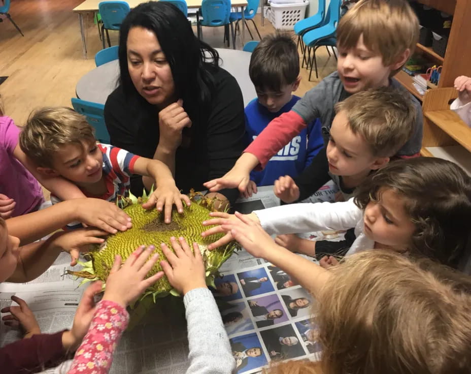 a person teaching children how to use a green plant