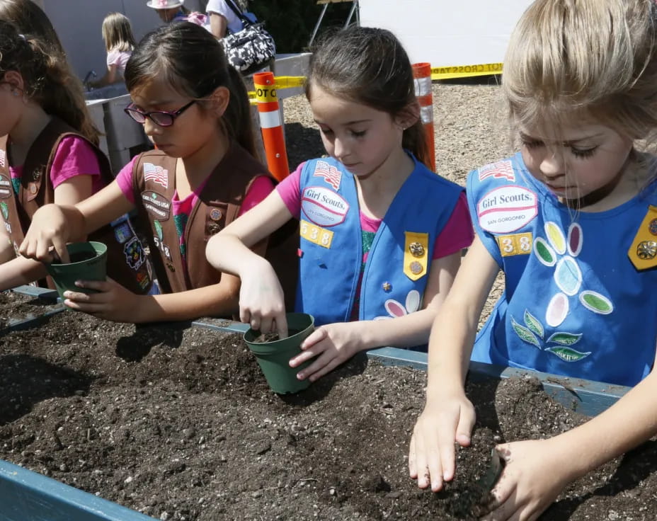 a group of children playing in the mud