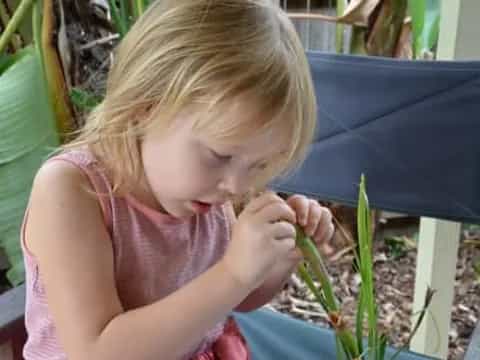 a little girl looking at a plant