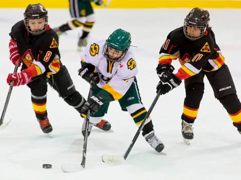 a group of people playing hockey