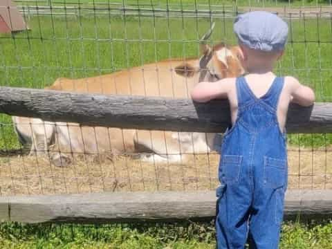 a child looking at a fence